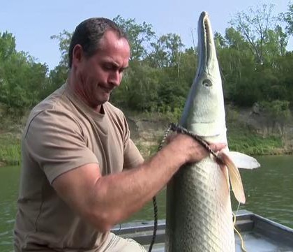 Le poisson alligator – Etats-Unis, Trinity, Texas