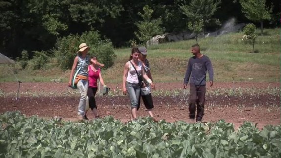 La solidarité cultivée