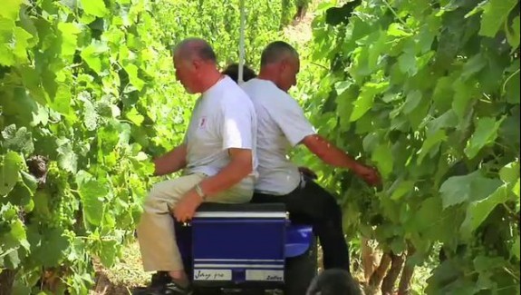 Le chariot électrique du vigneron