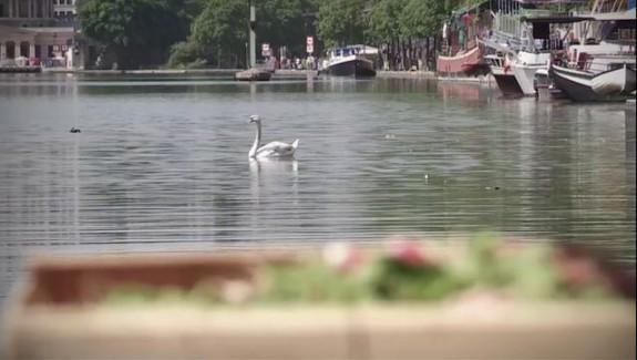 Le marché sur l’eau