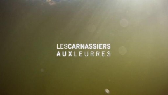 Les carnassiers aux leurres