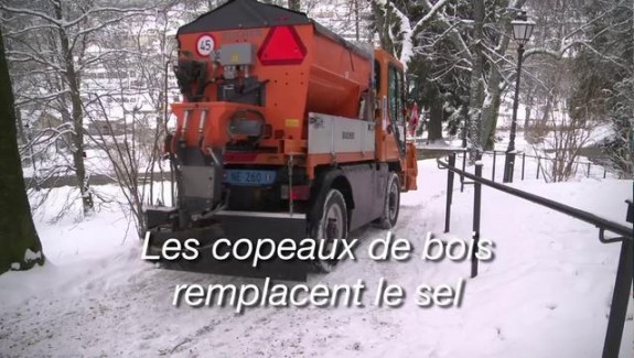 Les copeaux de bois remplacent le sel