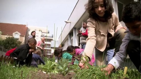 Un potager à l’école