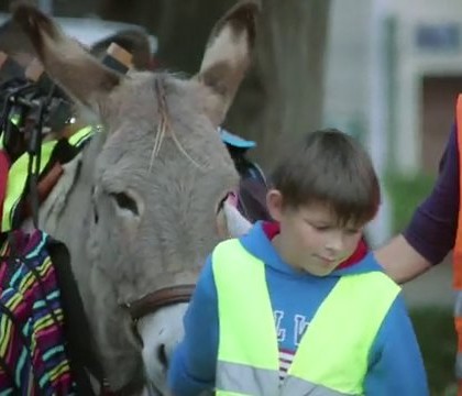 Des ânes pour les cartables