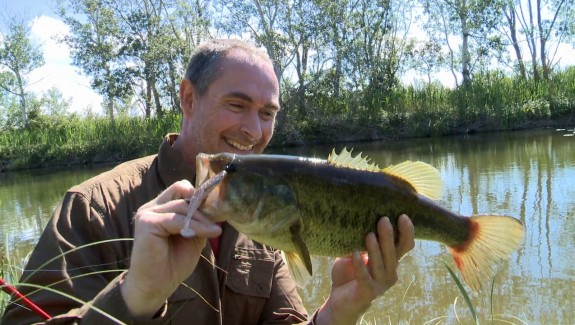 BA Le Silure Glane en France