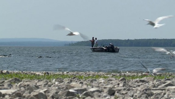 BA Les Musky du Canada