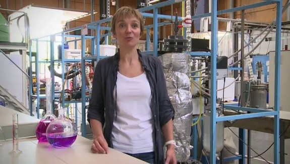 Du végétal dans le plastique