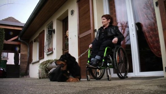 L’auto-partage adapté au handicap